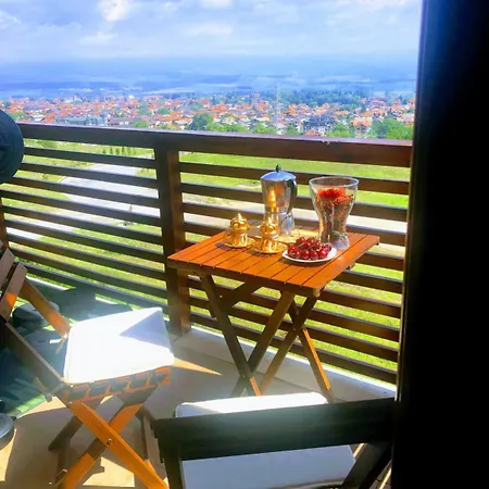 1br Mountain View In *